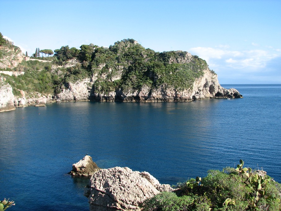 Podarcis siculus dell''Isola Bella di Taormina